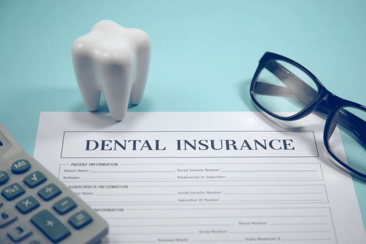 Dental Insurance 101 What Does Your Policy Cover?